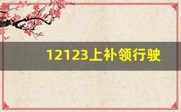 12123上补领行驶证准备材料_12123补办行驶证