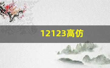 12123高仿