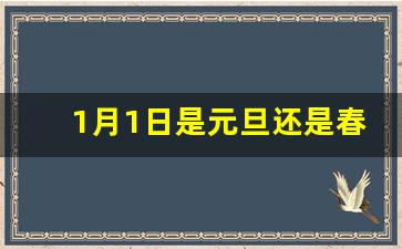 1月1日是元旦还是春节