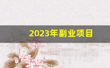 2023年副业项目