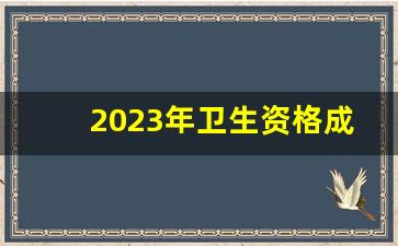 2023年卫生资格成绩查询入口