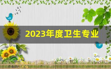 2023年度卫生专业技术资格考试报名条件