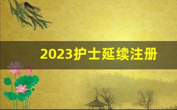 2023护士延续注册入口_2023年护士执业资格考试