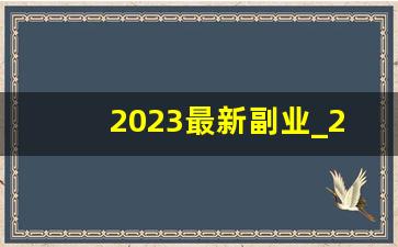 2023最新副业_2023做什么兼职可以挣点钱