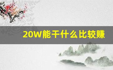 20W能干什么比较赚钱_无本钱一个月内赚5万