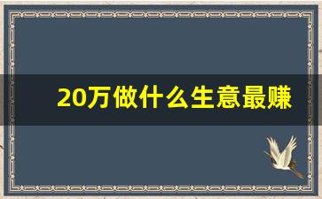 20万做什么生意最赚钱_20万做生意有哪些项目