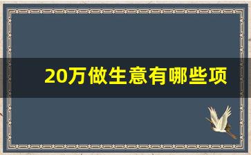 20万做生意有哪些项目