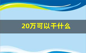 20万可以干什么