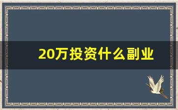 20万投资什么副业