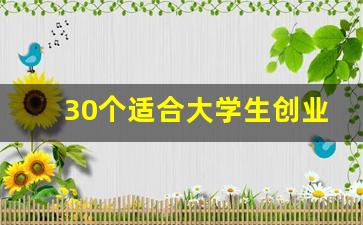 30个适合大学生创业的项目