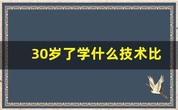 30岁了学什么技术比较好