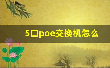 5口poe交换机怎么连接_非网管型交换机什么意思