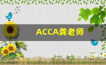 ACCA龚老师