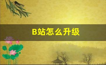 B站怎么升级