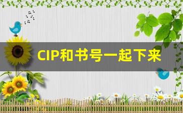 CIP和书号一起下来吗_CIP书号