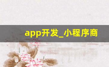 app开发_小程序商城制作公司