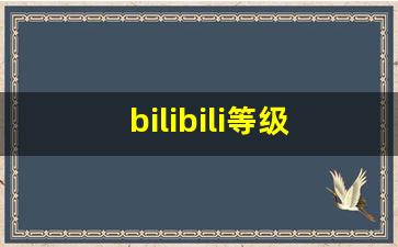 bilibili等级_哔哩哔哩直接进入