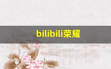 bilibili荣耀等级消费表_B站荣耀等级30级