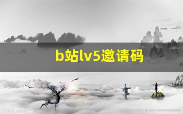 b站lv5邀请码