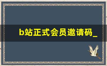 b站正式会员邀请码_b站购买邀请码是什么