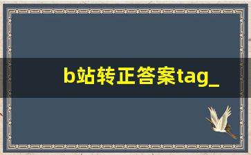 b站转正答案tag_哔哩哔哩转正