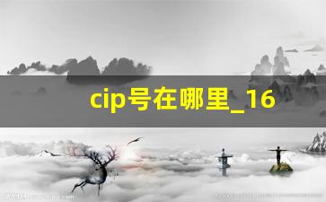 cip号在哪里_16位cid号码是什么