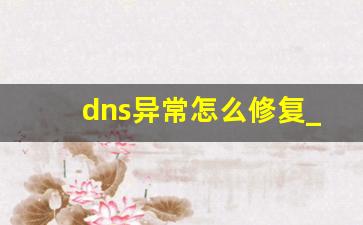 dns异常怎么修复_dns异常修复不了