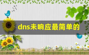 dns未响应最简单的修复办法