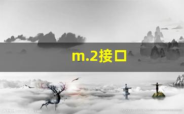 m.2接口