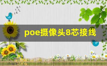 poe摄像头8芯接线图解