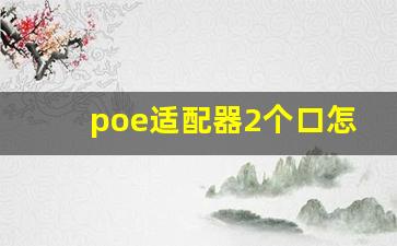 poe适配器2个口怎么接_poe供电会烧电脑网卡吗