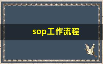 sop工作流程