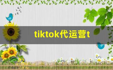 tiktok代运营tiktok