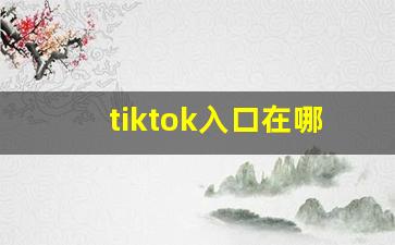 tiktok入口在哪里_国际抖音tiktok官网入口