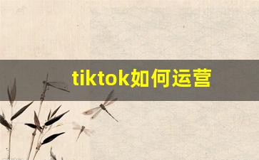 tiktok如何运营_tiktok怎么样