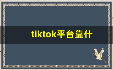 tiktok平台靠什么赚钱_国内如何下载tiktok国际版