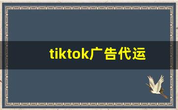 tiktok广告代运营_tiktok官方网站