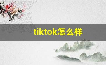 tiktok怎么样