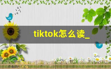 tiktok怎么读_tiktok跨境电商