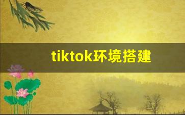 tiktok环境搭建_完美解决tiktok点赞关注清零