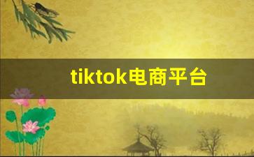 tiktok电商平台如何注册_如何做tiktok国外带货