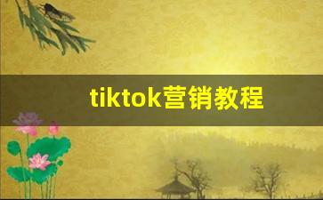 tiktok营销教程_tiktok怎么运营