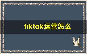 tiktok运营怎么做_抖音和TikTok的区别