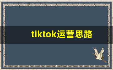 tiktok运营思路_怎么看tiktok