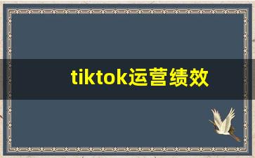 tiktok运营绩效考核_tiktok运营培训