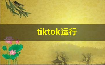 tiktok运行