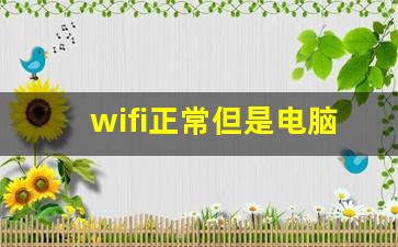 wifi正常但是电脑无法上网