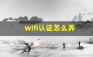 wifi认证怎么弄