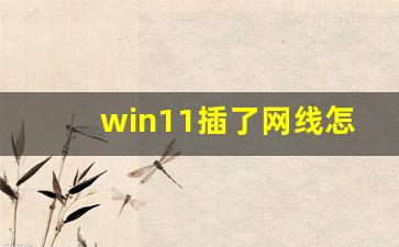 win11插了网线怎么设置上网