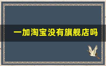 一加淘宝没有旗舰店吗_一加官方授权网店有哪些